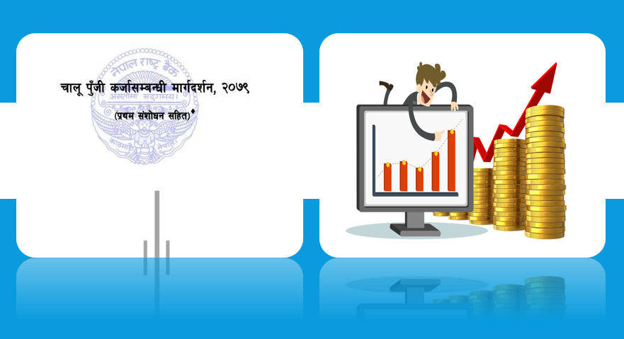चालु पूँजी कर्जा वृद्धिमा एसबीआई अगाडि, नबिल र कृषि विकास बैंकको ठूलो हिस्सा